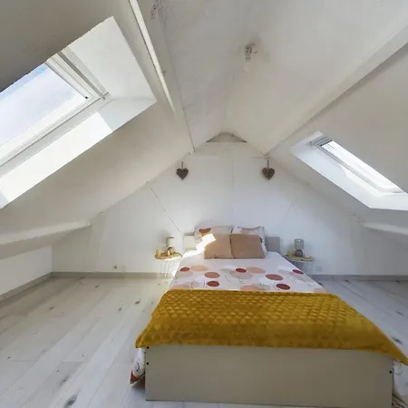 Spacieuse ヴィラ *